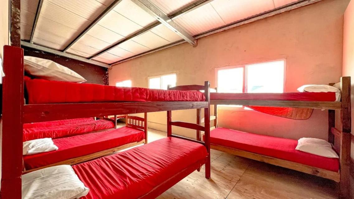 La Maquinita Hostel Mar del Plata Extérieur photo